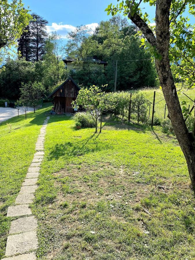 Апартаменты House Hiperbola & Outdoor Activities Бовец Экстерьер фото